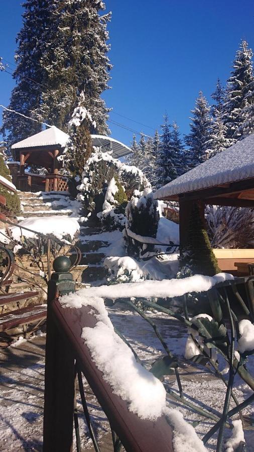 Любе Hotel Yablunytsya Eksteriør billede