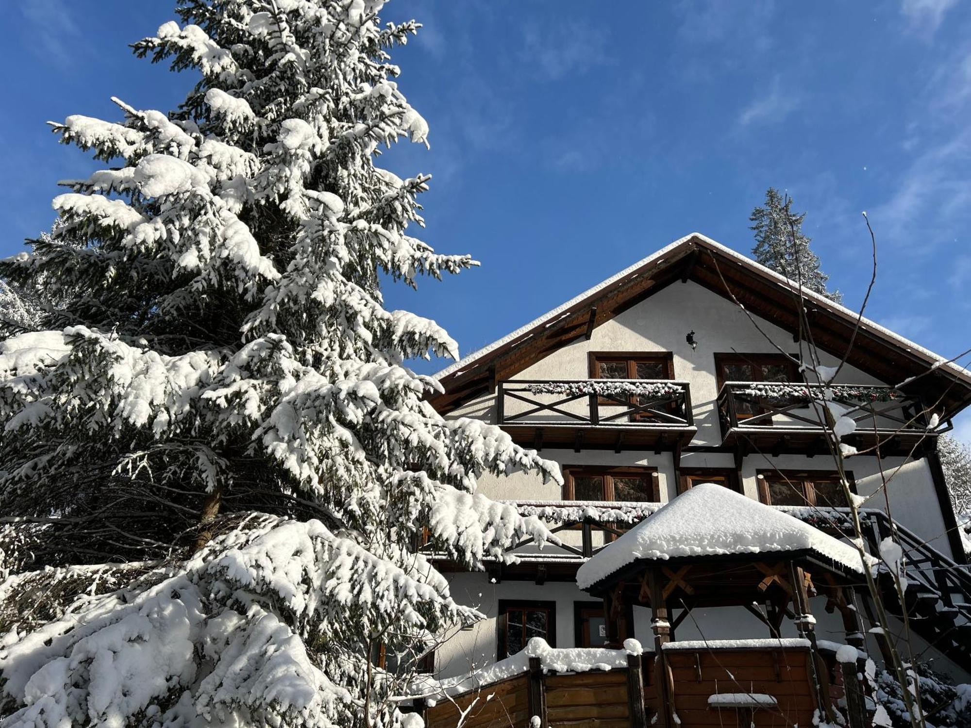 Любе Hotel Yablunytsya Eksteriør billede