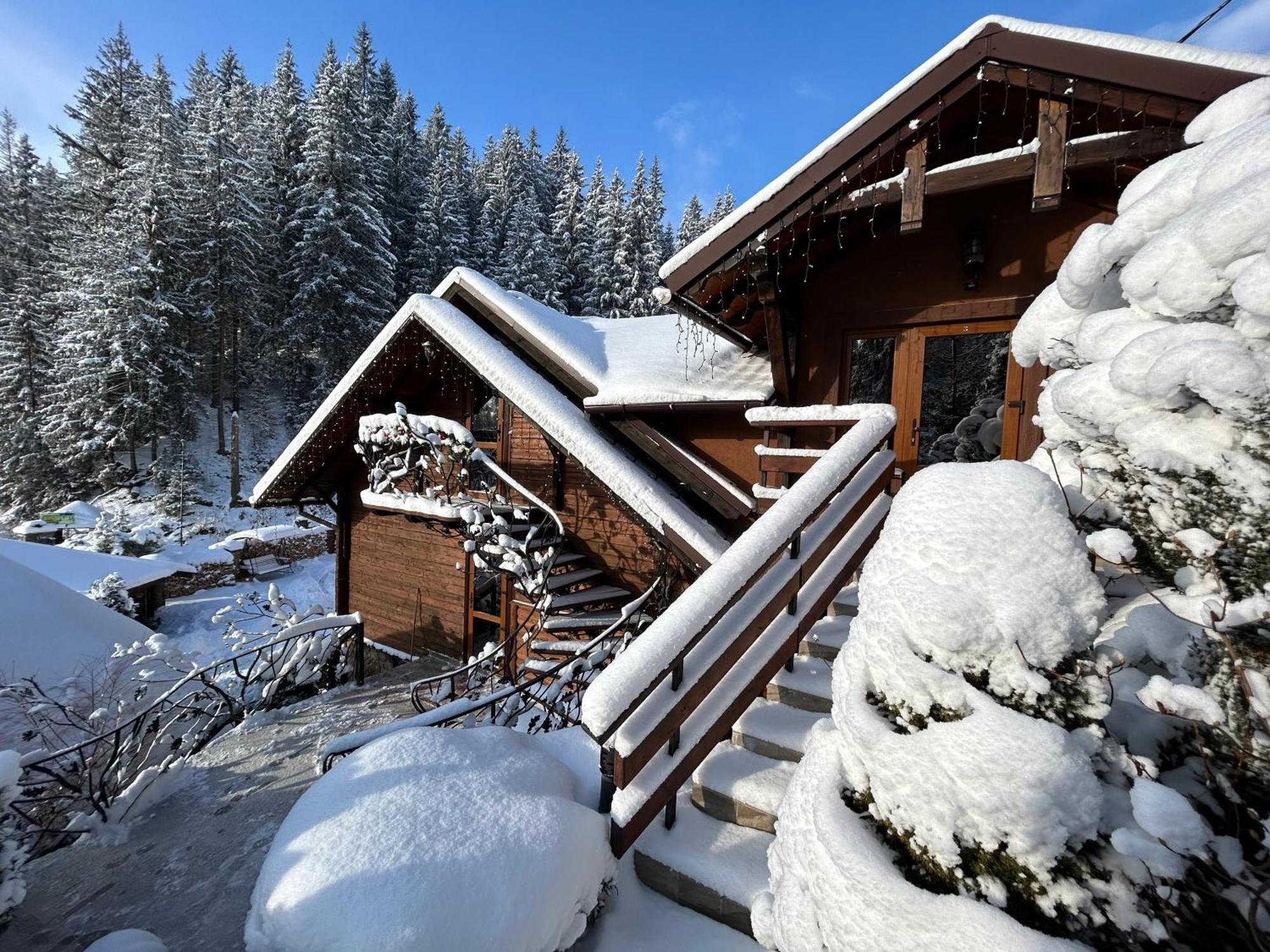 Любе Hotel Yablunytsya Eksteriør billede