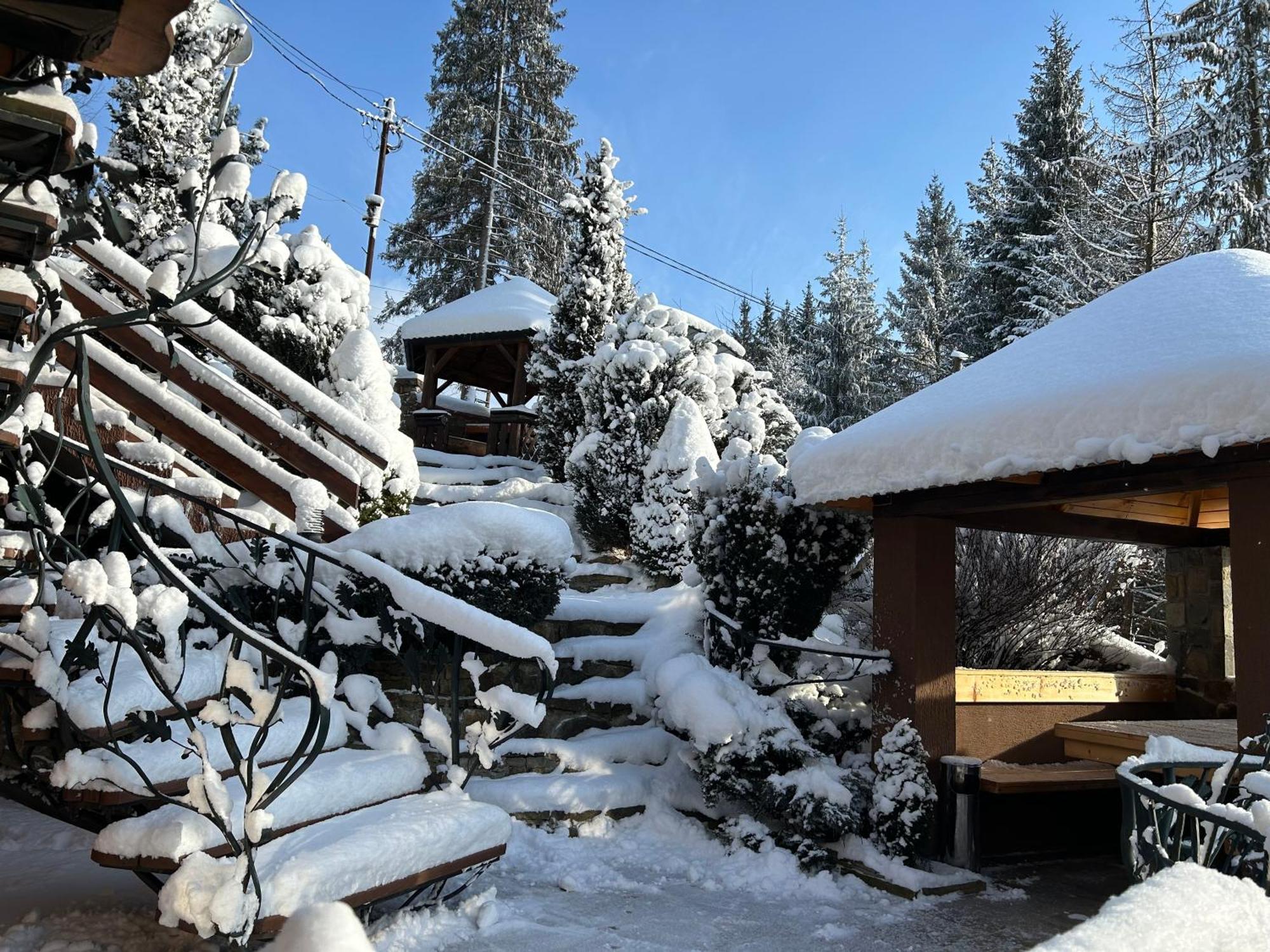 Любе Hotel Yablunytsya Eksteriør billede
