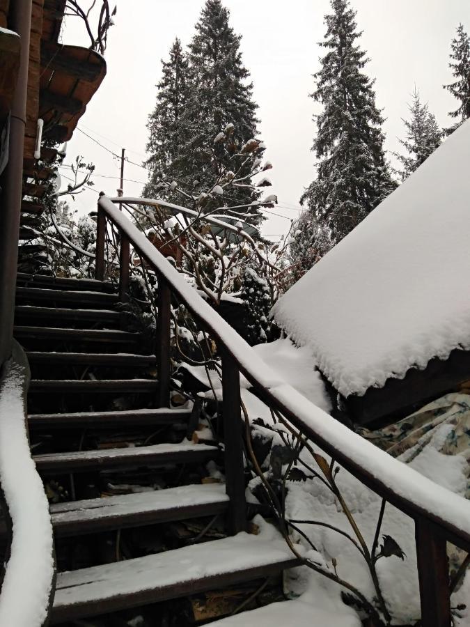 Любе Hotel Yablunytsya Eksteriør billede